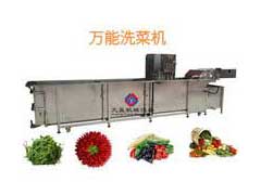 大型洗菜机JY-5000