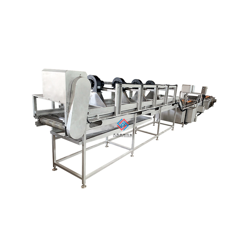 整颗蔬菜洗濯流水线
