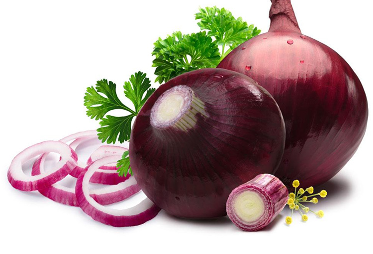 拉斯维加斯(9888)唯一官方网站