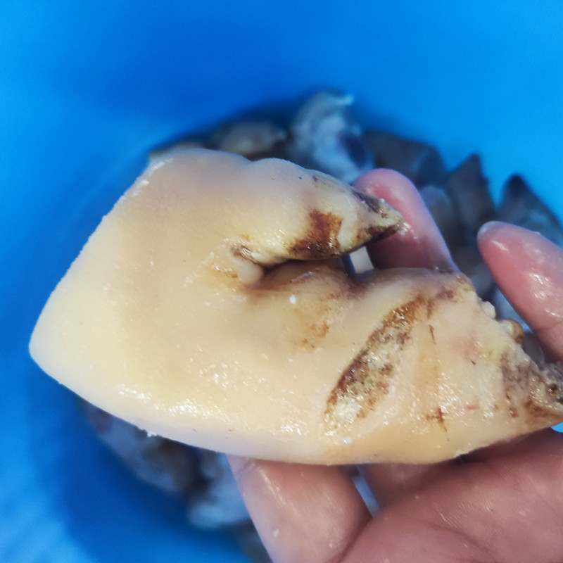 拉斯维加斯(9888)唯一官方网站